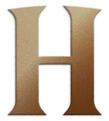 Hineni Strategy and Advisory Corp